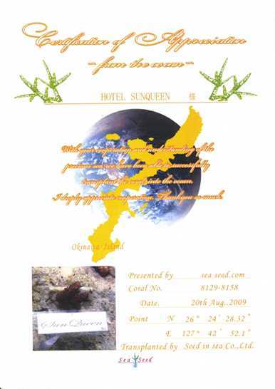 サンゴ保全団体「Sea Seed」